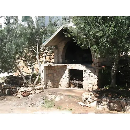Zora פירובאץ